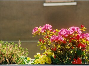 1997-04 Varie