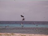 2000-04 Los Roques 004