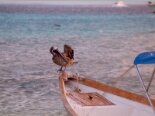 2000-04 Los Roques 009