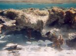 2000-04 Los Roques 083
