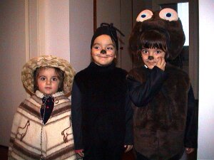 2002-02 Carnevale