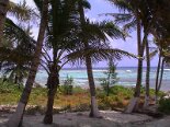 2002-05 Cayman Island 2002-04-26 18-24 015