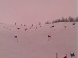 2003-03 la Thuile 2003-03-29 11-13 037