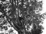 2003-04 Pasqua 2003-05-18 17-36 013