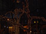 2003-12 USA 2003-12-15 00-18 135