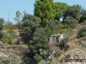 2004-09 Taormina