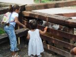 2005 - 09 Scuola e Cornelle 2005-09-04 13-01 054