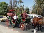 2005 - 10 Marrakech 2005-10-15 12-59 164