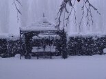2006-01 Varie 2006-01-27 13-36 008