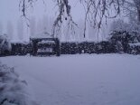 2006-01 Varie 2006-01-27 13-36 009