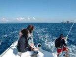 2008-05 Elba 2008-05-01 15-17 156