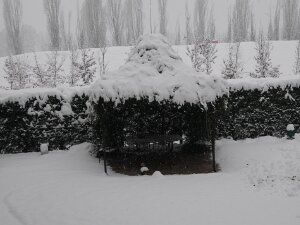 2009-01 Neve
