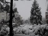 2009-01 Neve 2009-01-07 09-38 015