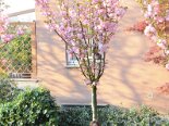 2009-04 Varie 2009-04-06 19-02 002