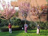 2009-04 Varie 2009-04-06 19-02 003