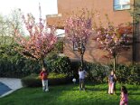 2009-04 Varie 2009-04-06 19-02 008