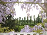2009-04 Varie 2009-04-15 19-23 017