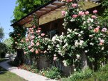 2009-04 Varie 2009-05-23 14-44 009