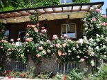 2009-04 Varie 2009-05-23 14-44 010