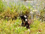 2009-09 Tobia 2009-09-04 16-09 002