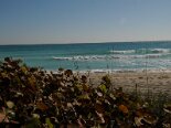 2010-03 Miami 2010-02-28 16-42 124