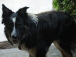 2011-06 Tobia 2011-05-18 17-47 124