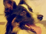2011-06 Tobia 2011-05-18 19-52 118