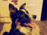 2011-06 Tobia 2011-05-18 19-52 119
