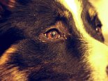 2011-06 Tobia 2011-05-18 19-52 121