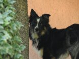 2011-06 Tobia 2011-05-19 18-34 116