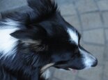 2011-06 Tobia 2011-05-20 17-21 105