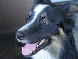 2011-06 Tobia 2011-05-20 17-21 107