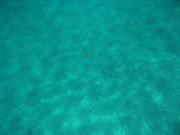2011-08 Corsica 078