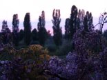 2011-09 Foto varie Paola 2011-04-15 18-57 029