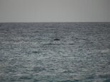 2012-04 Barbados 2012-04-24 23-58 012