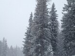 2013-01 Sci 2013-01-20 12-03 015