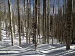 2013-03 Deer Valley 2013-03-15 10-11 047
