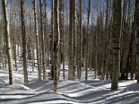 2013-03 Deer Valley 2013-03-15 10-11 048