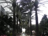 2013-03 Miami 2013-03-19 16-40 003