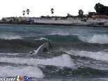 2014-03 Diano Marina 2014-03-23 13-53 007