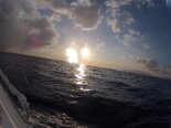 2014-08 Sardegna 2011-01-01 05-06 668