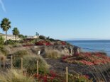 2014-10 Papy in California8