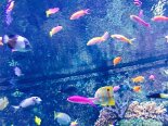 2015-08 Sentosa 060