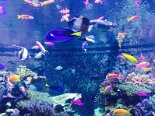 2015-08 Sentosa 065