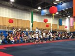 2016-03 International fiesta 2016-03-16 11-41 013