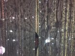 2016-05 Varie a Singapore 2016-04-24 12-52 002