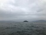 2018-08 Sailing AC in S.Francisco - 20