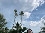 2019-05 Bintan Mamikend - 11