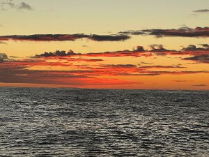 2024-12 Transat