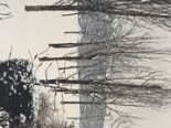 Photo003